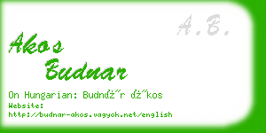 akos budnar business card
